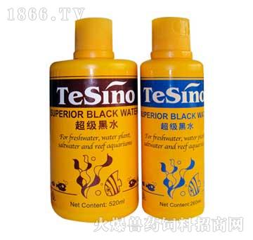 TeSino(j)ˮ-