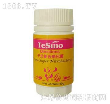 TeSinoʽͺ-