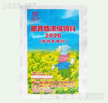 2026Lis-