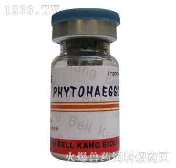 PHYTOHAEGG-