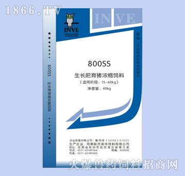 800SSLis-