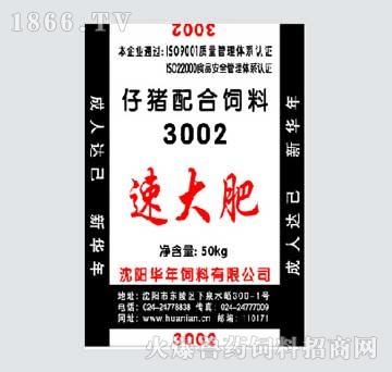 3002ٴ-A