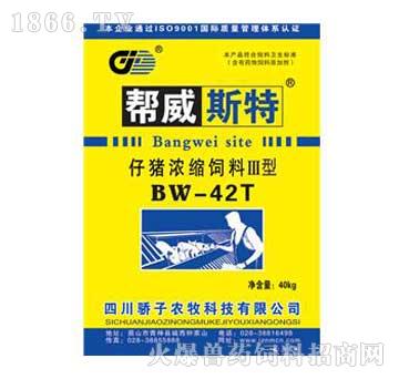 isϢBW-42T-