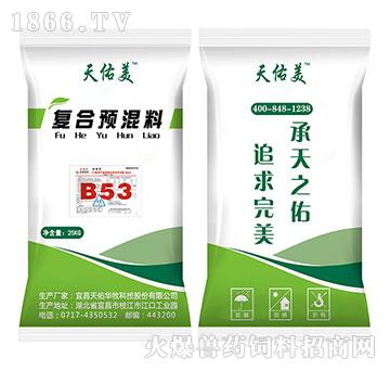 B53-5%ua(chn)ڏ(f)A(y)