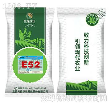 B52-5%uڏͺA