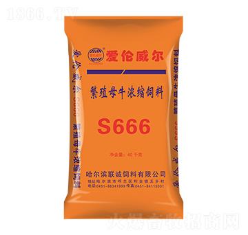 ۂS666