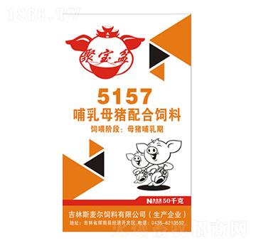 ĸi5157ی衿