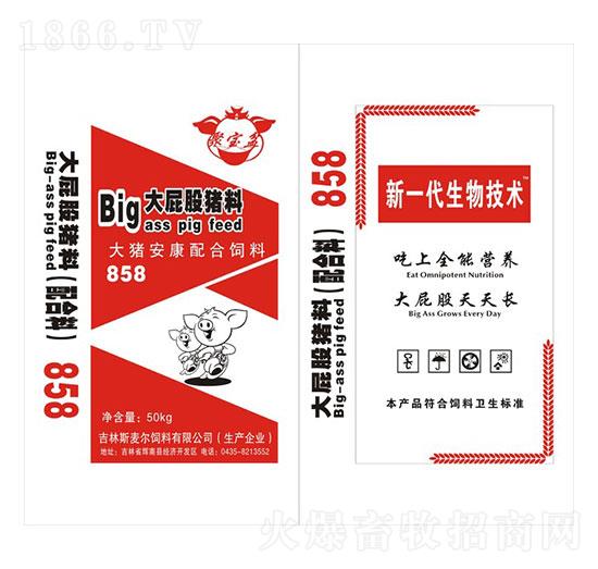 Bigƨi858ی衿